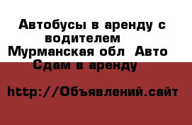 Автобусы в аренду с водителем.  - Мурманская обл. Авто » Сдам в аренду   